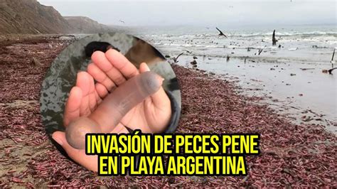 penes en la playa